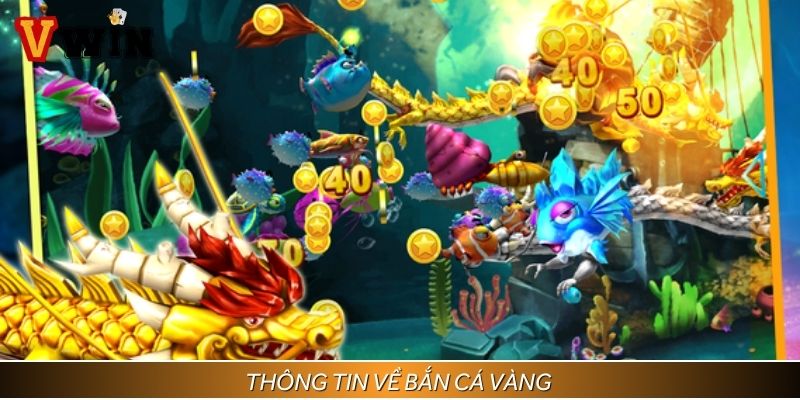Thông tin về bắn cá vàng